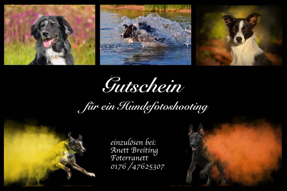 Gutschein 2