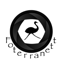 Logo Foterranett schrift
