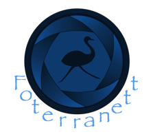 Logo Foterranett schrift völki 2